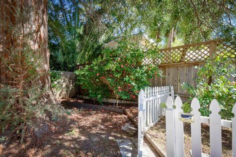 41 Meadow Avenue San Rafael CA 94901