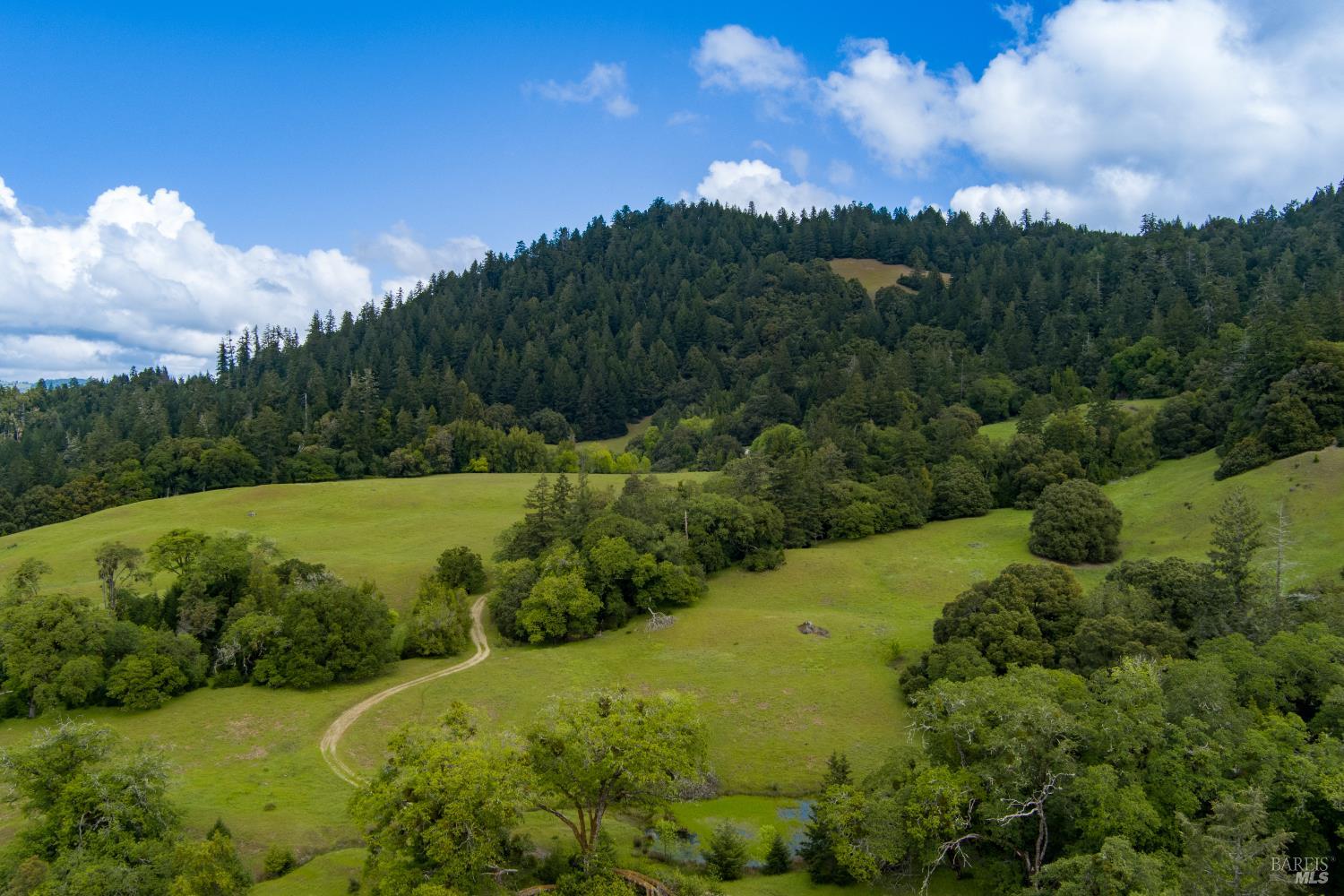 0-0 Reed Mountain Road Garberville CA 35542