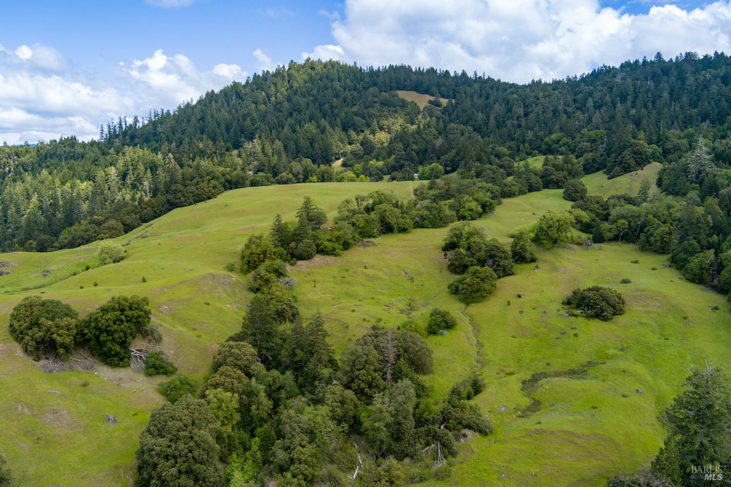 0-0 Reed Mountain Road Garberville CA 35542
