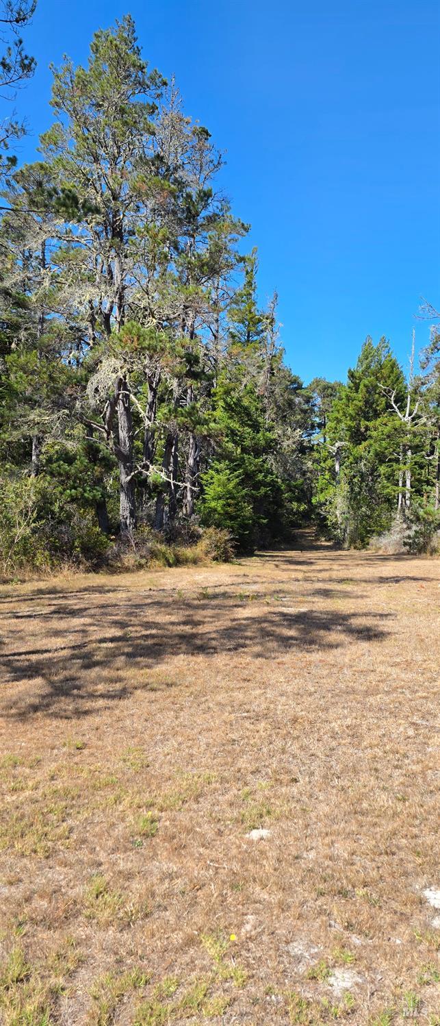 45942 Zettler Road Gualala CA 95445