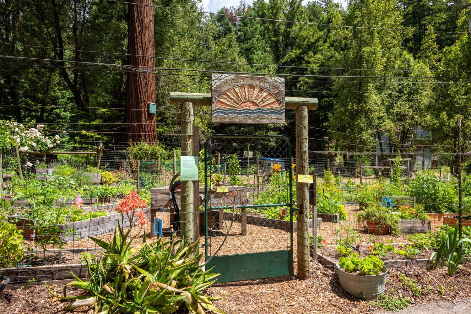 14760 Rio Nido Road Guerneville CA 95446