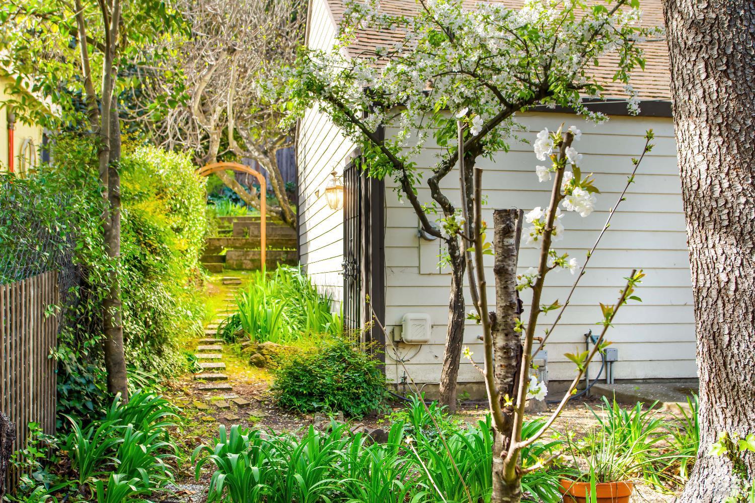 1619 Foothill Boulevard Calistoga CA 94515
