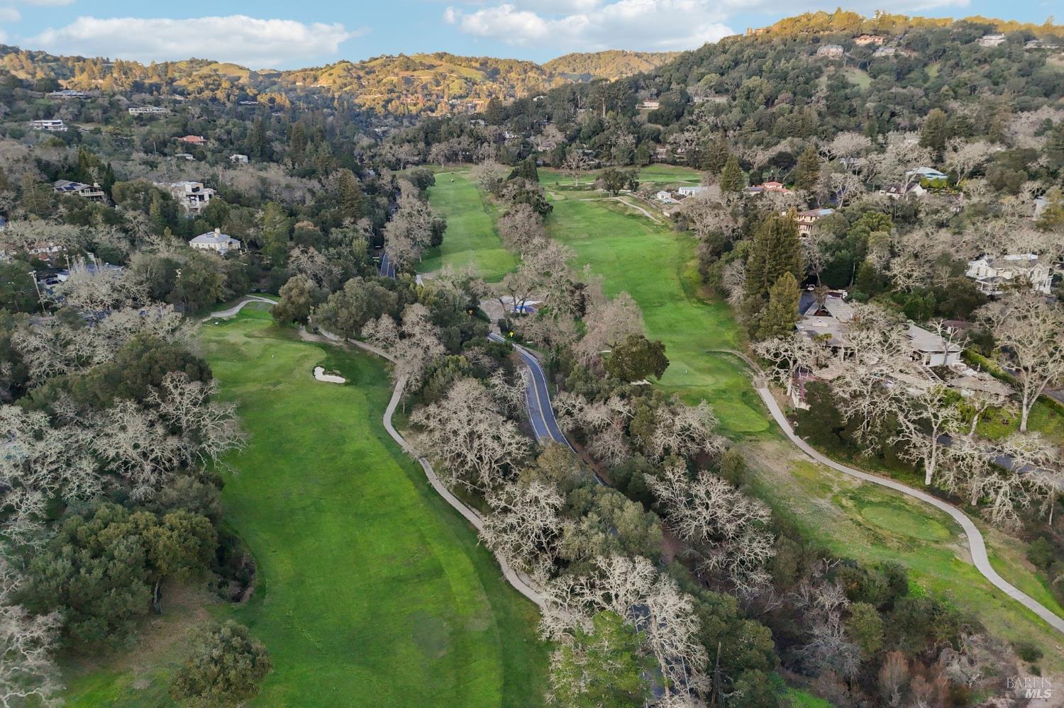 85 La Encinal Orinda CA 94563