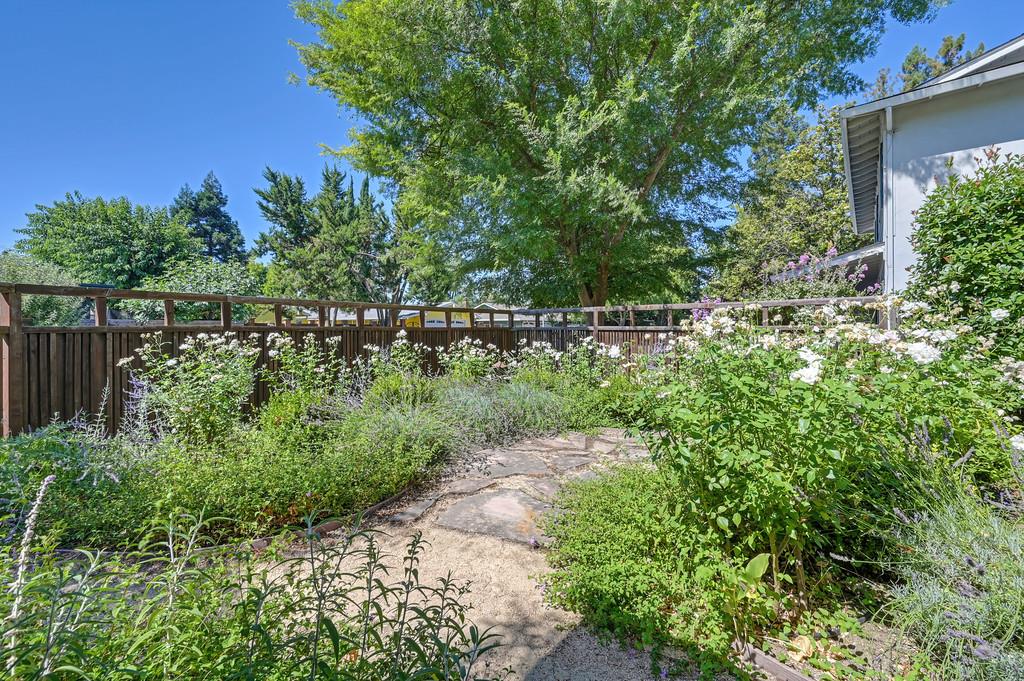 605 Cleveland Street Davis CA 95616