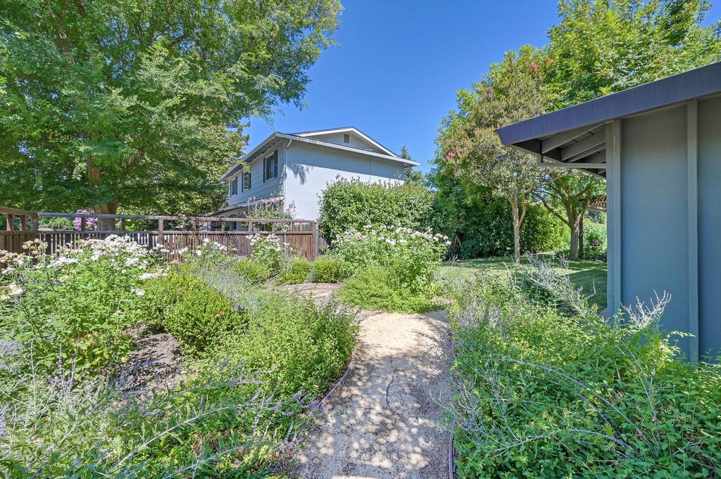 605 Cleveland Street Davis CA 95616
