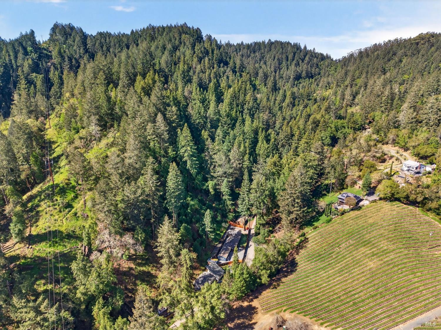11207 Vellutini Road Forestville CA 95436