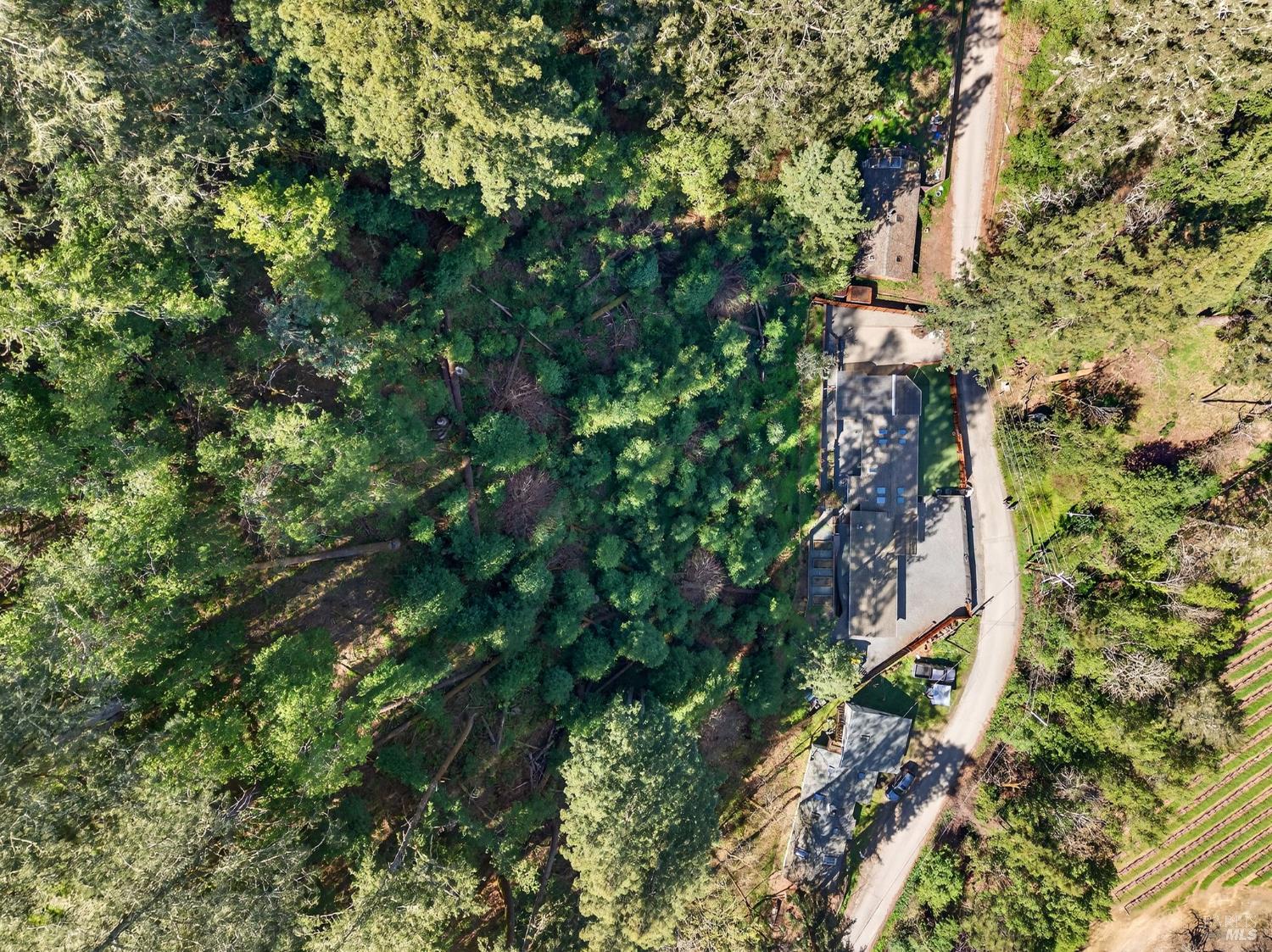 11207 Vellutini Road Forestville CA 95436