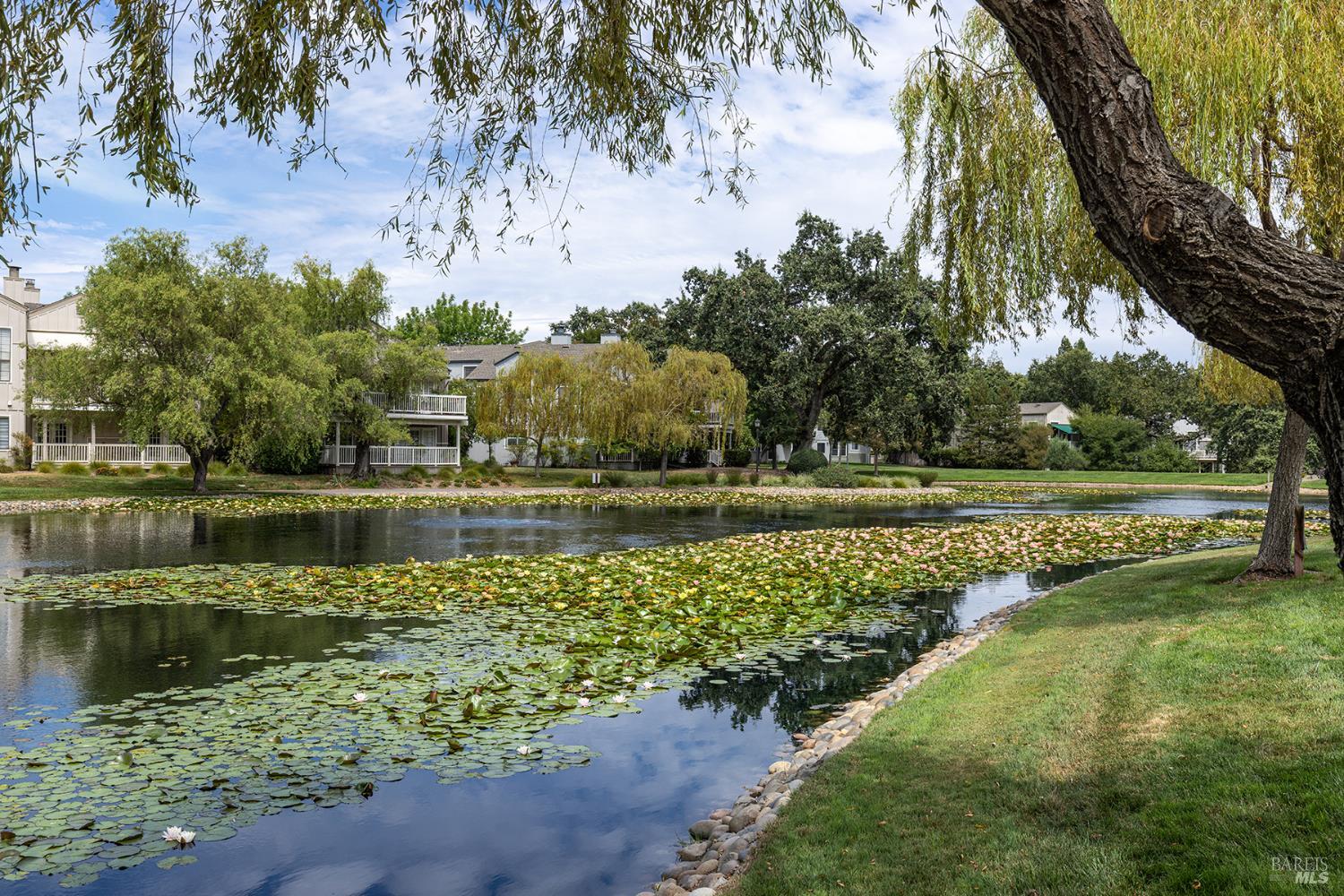 1004 Princeton Drive Boyes Hot Springs CA 95476
