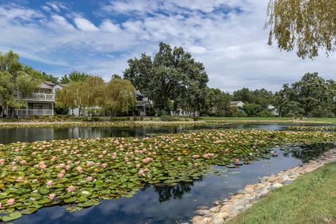 1004 Princeton Drive Sonoma CA 95476