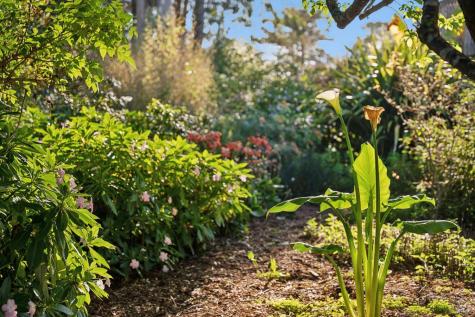 180 Maple Road Bolinas CA 94924