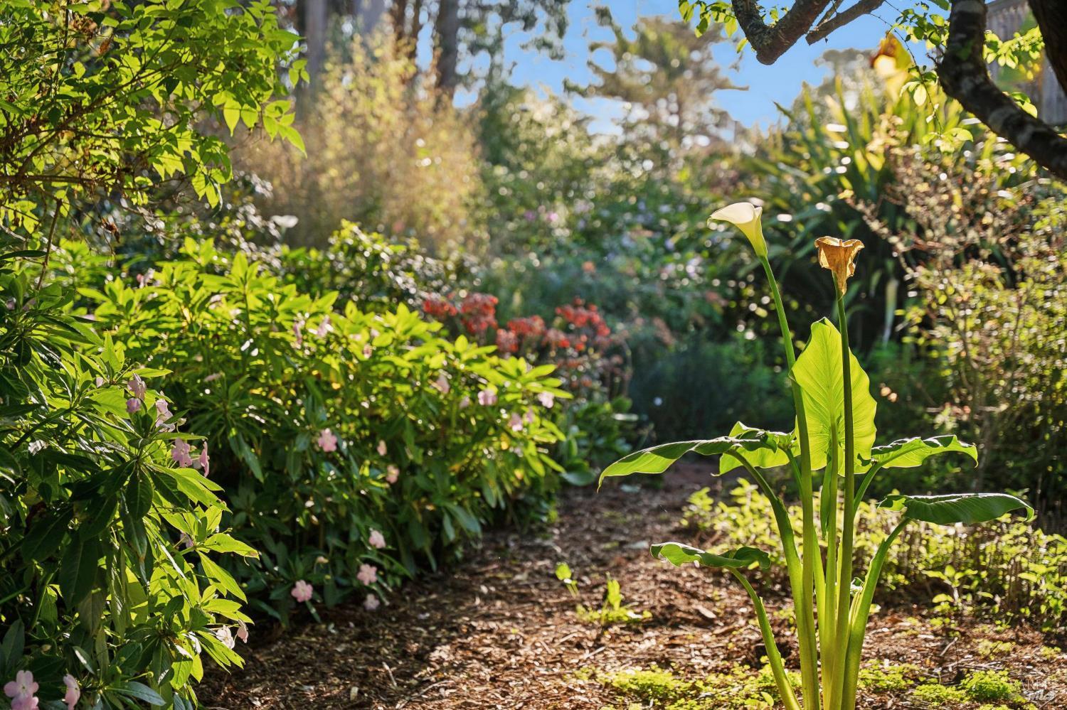 180 Maple Road Bolinas CA 94924
