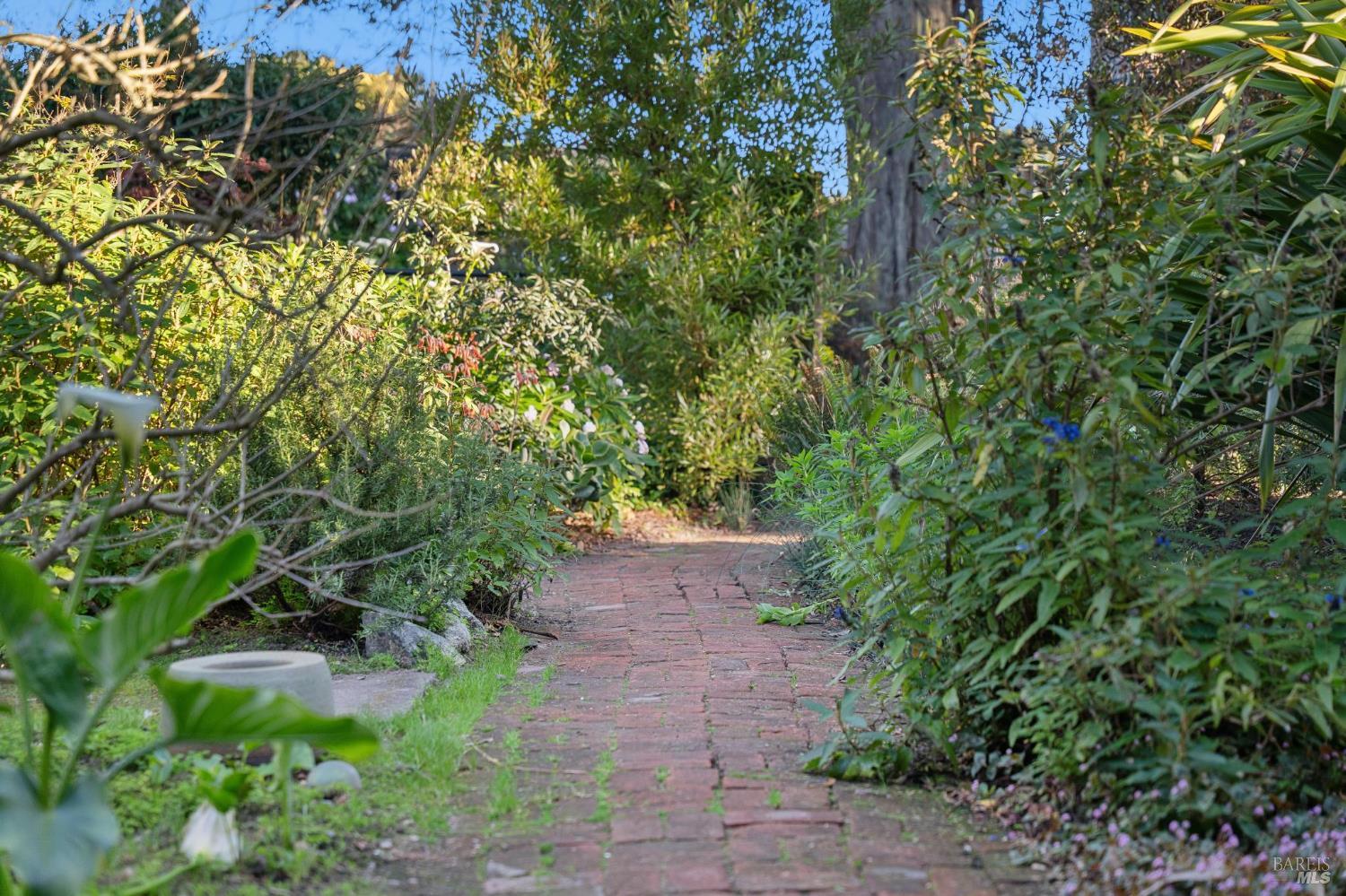 180 Maple Road Bolinas CA 94924