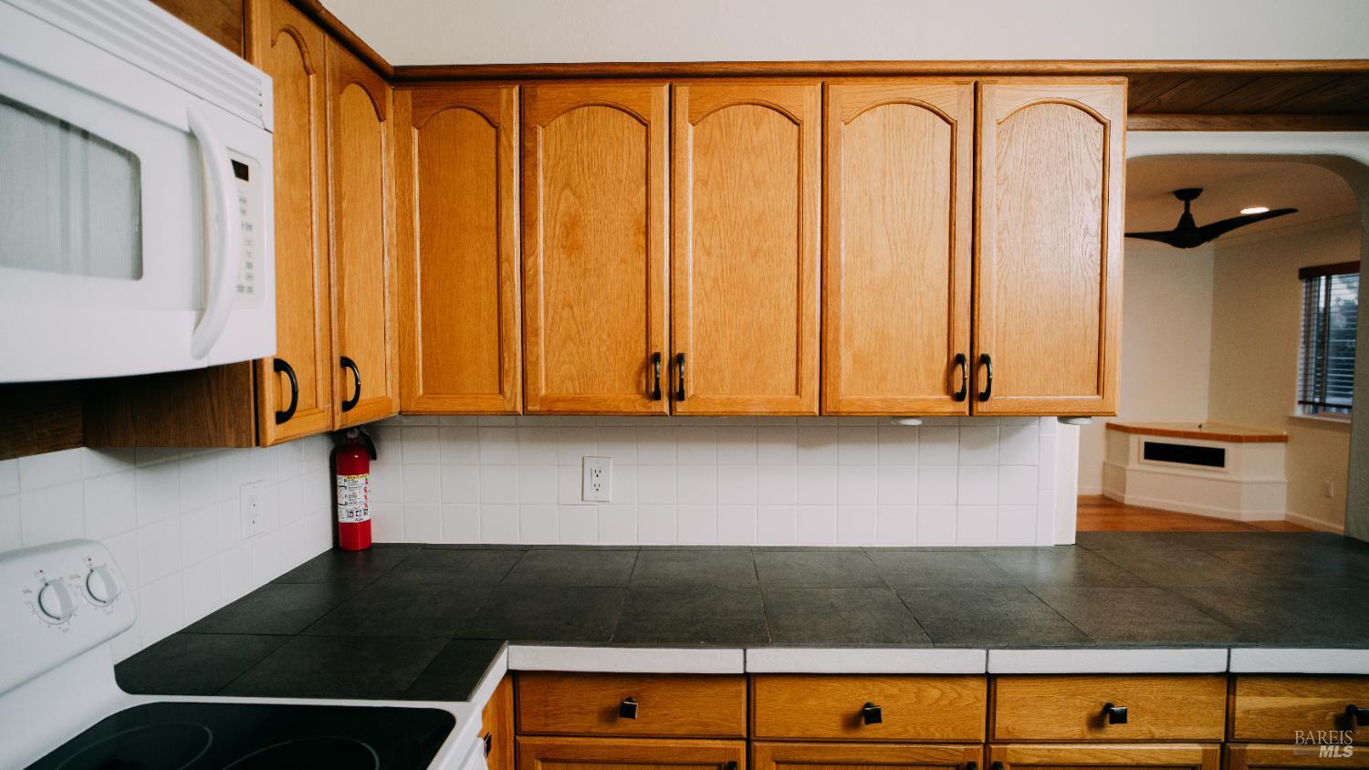 3607 Shoreline View Way Kelseyville CA 95451