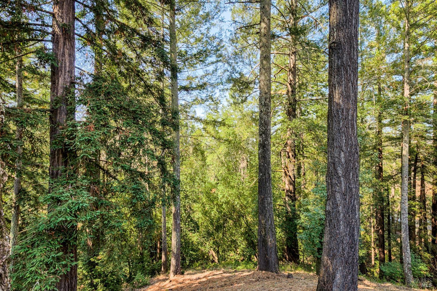 1015 Oak Mesa Drive Santa Rosa CA 95409