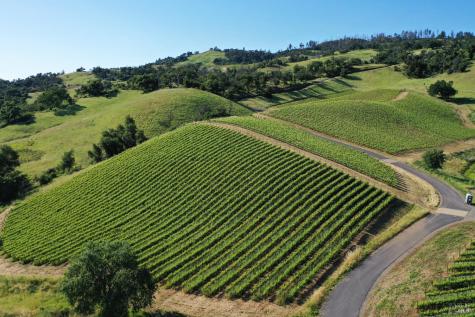 746 Artisan Circle Geyserville CA 95441