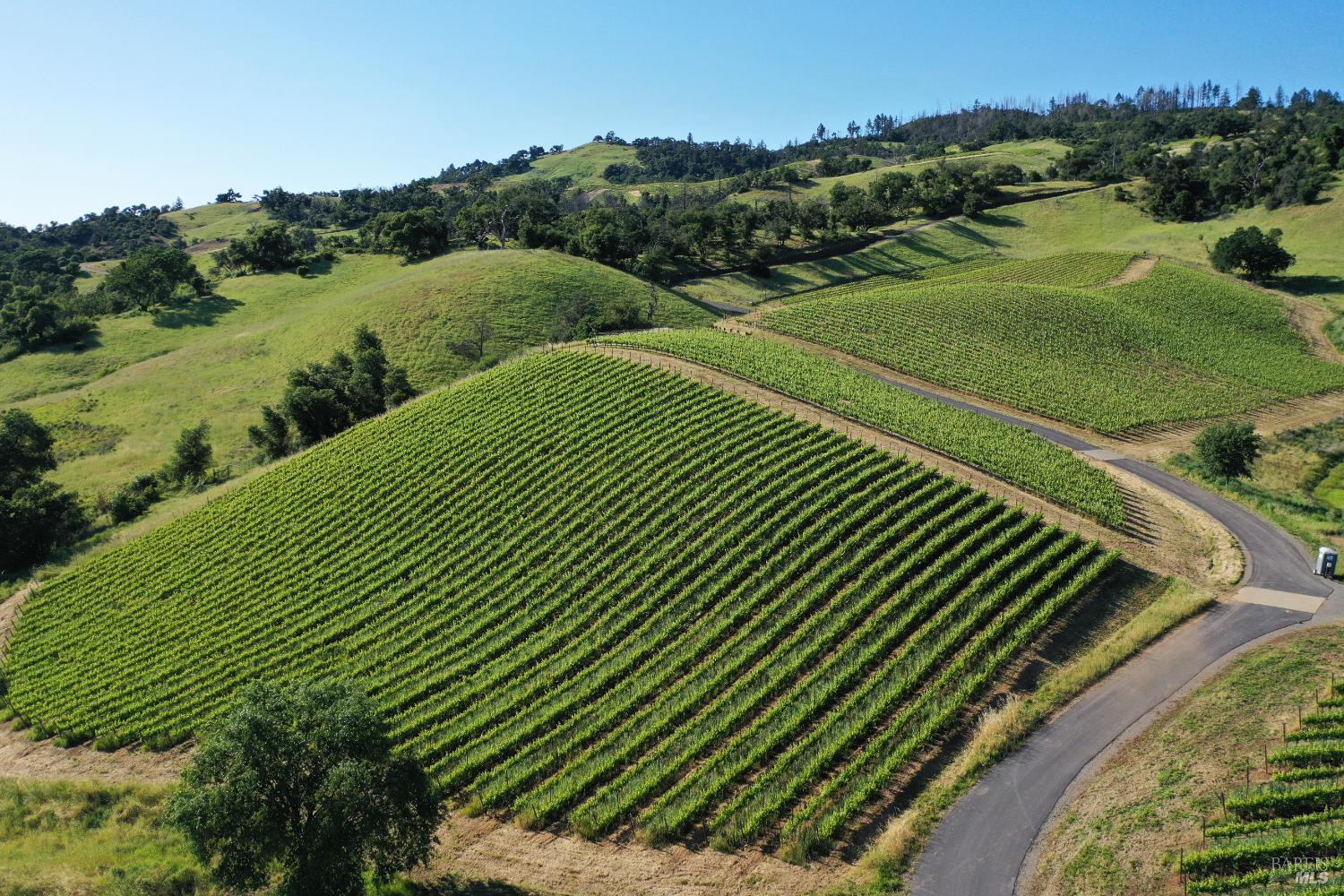 746 Artisan Circle Geyserville CA 95441