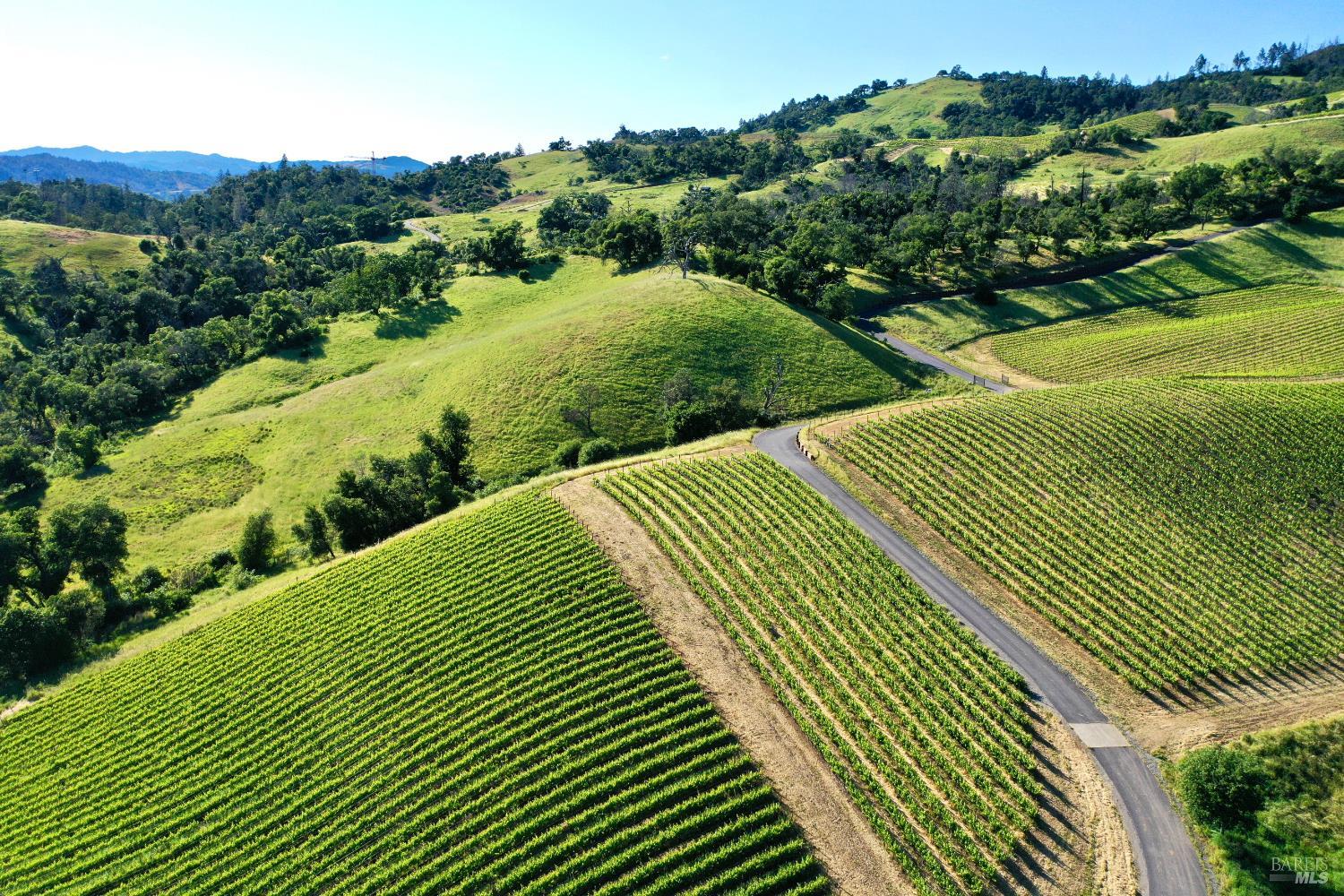 746 Artisan Circle Geyserville CA 95441