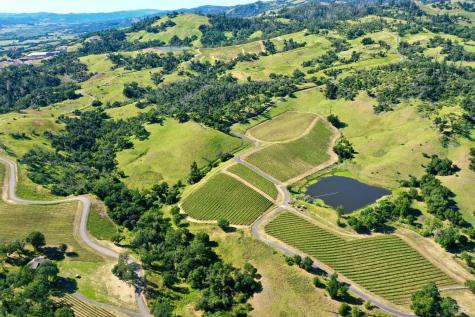 746 Artisan Circle Geyserville CA 95441