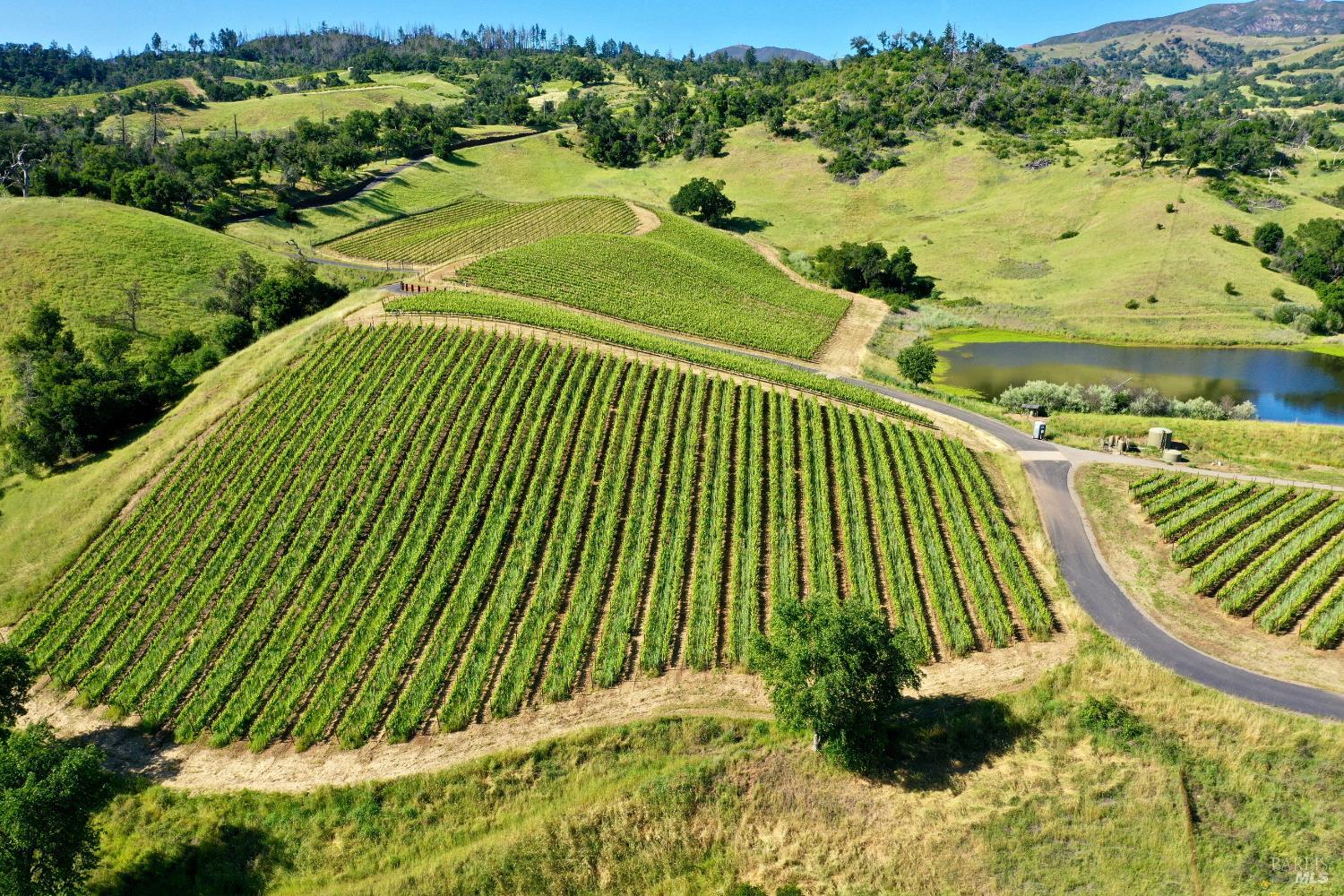 746 Artisan Circle Geyserville CA 95441
