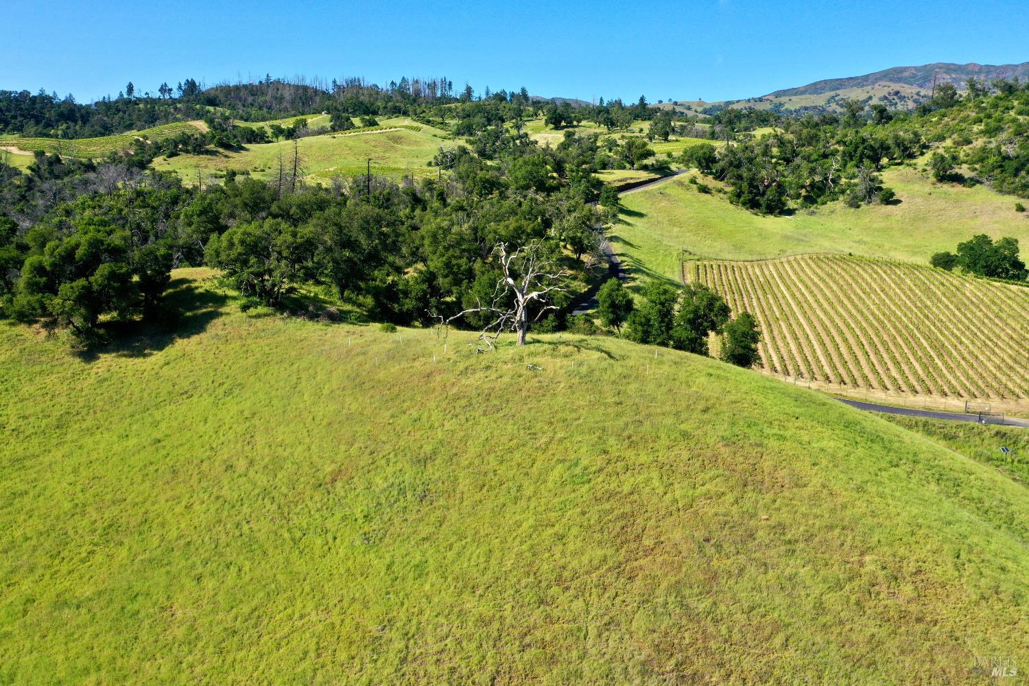 746 Artisan Circle Geyserville CA 95441