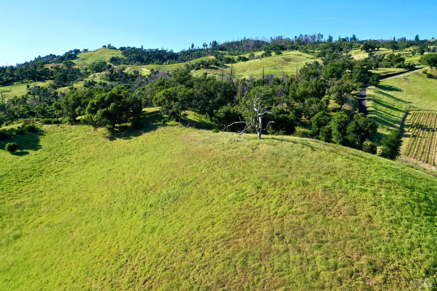 746 Artisan Circle Geyserville CA 95441