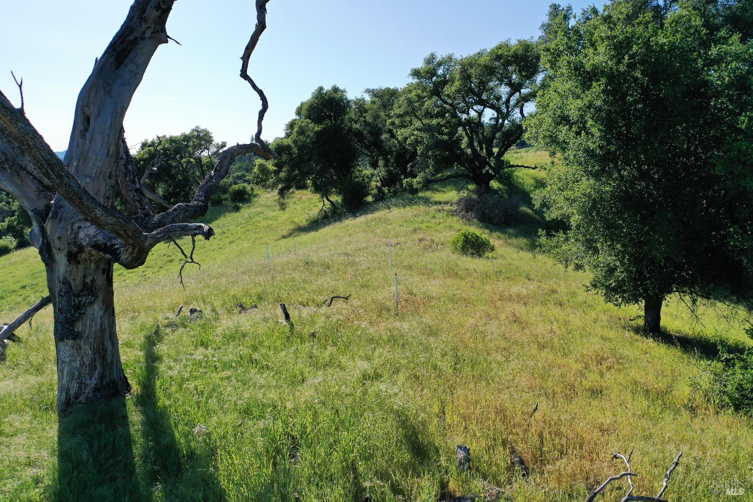 746 Artisan Circle Geyserville CA 95441