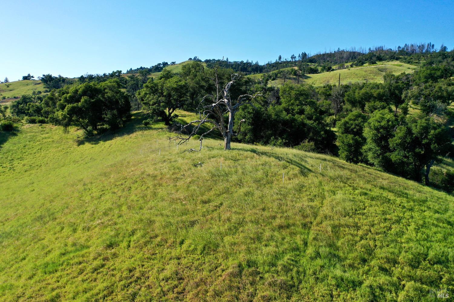 746 Artisan Circle Geyserville CA 95441
