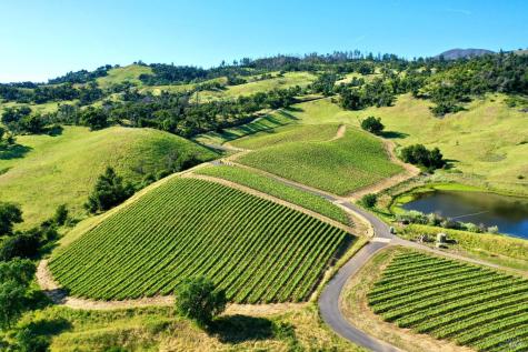 746 Artisan Circle Geyserville CA 95441
