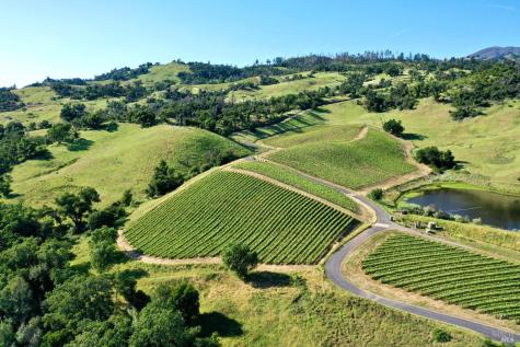 746 Artisan Circle Geyserville CA 95441