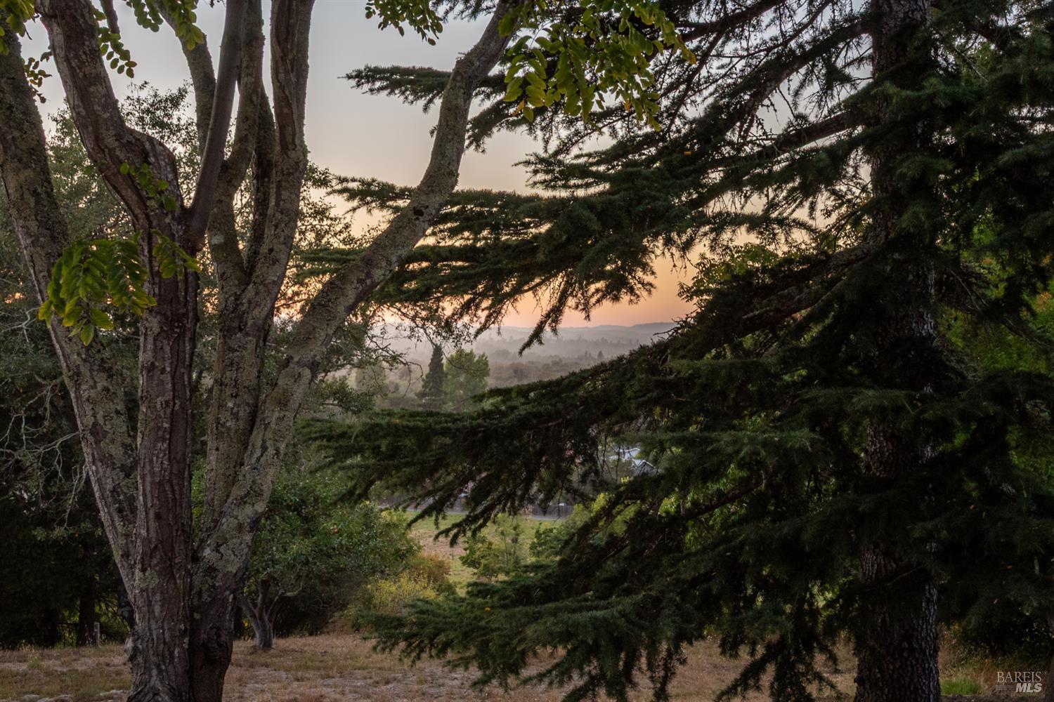 8150 Whited Road Sebastopol CA 95472