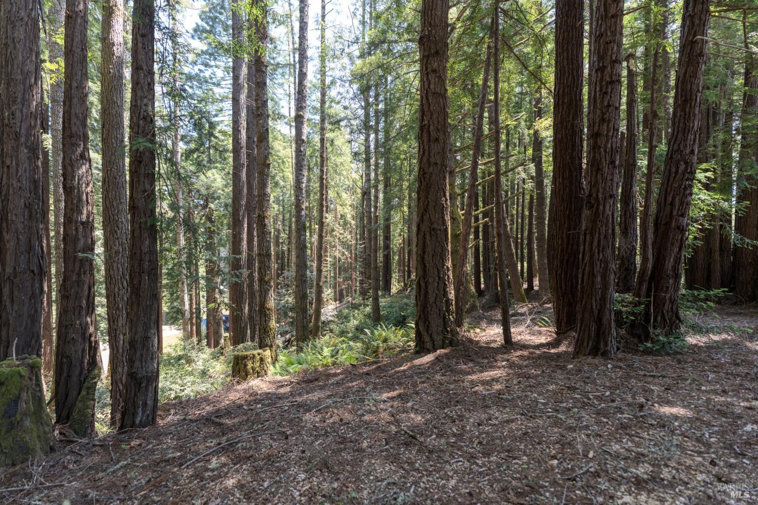 36778 Timber Ridge Road The Sea Ranch CA 95497