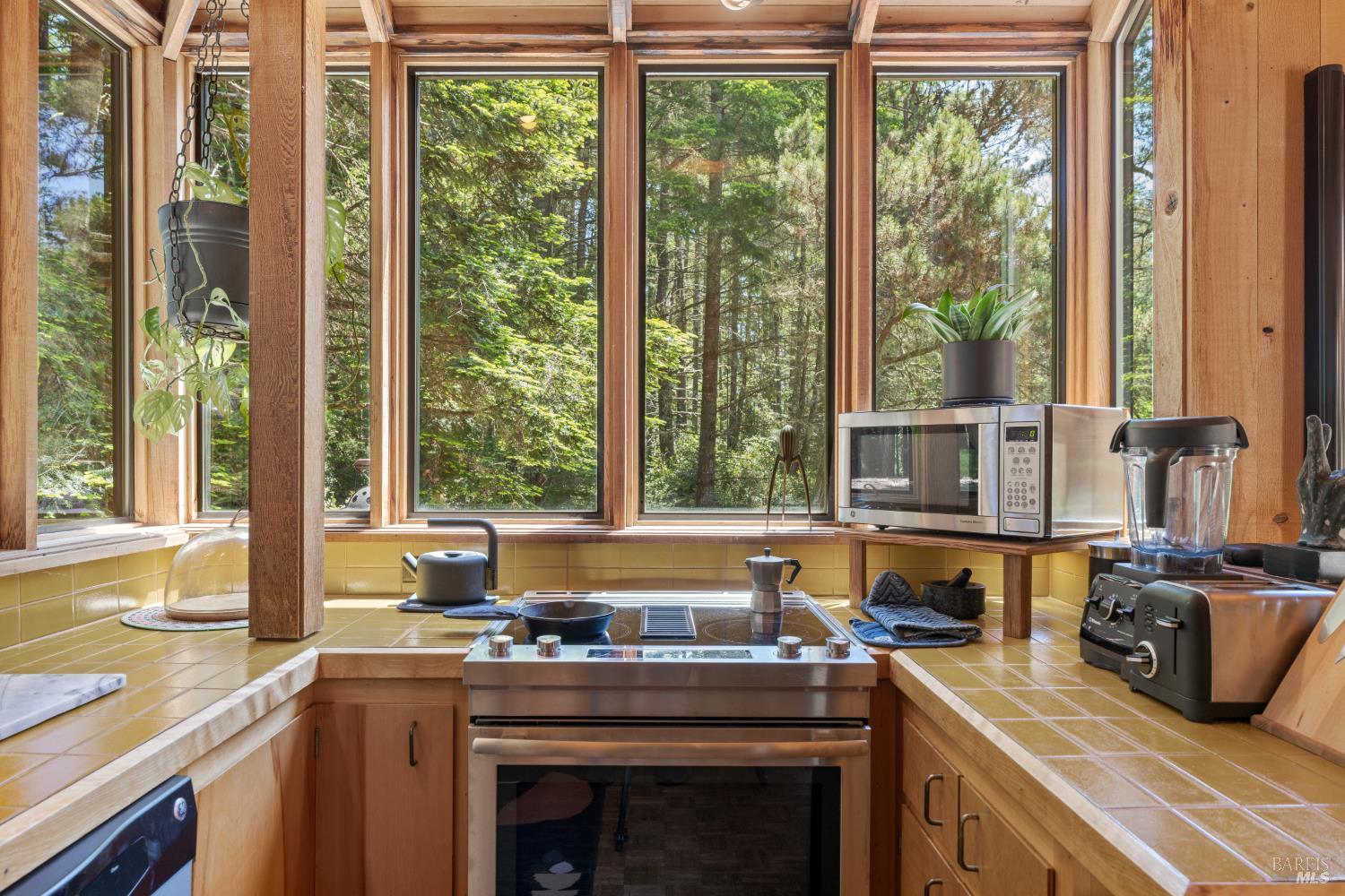36778 Timber Ridge Road The Sea Ranch CA 95497