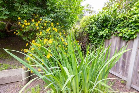 10 Park Avenue Bolinas CA 94924