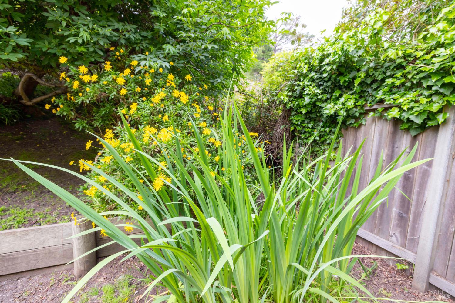 10 Park Avenue Bolinas CA 94924