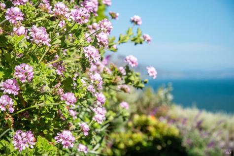 71 Crescente Avenue Bolinas CA 94924