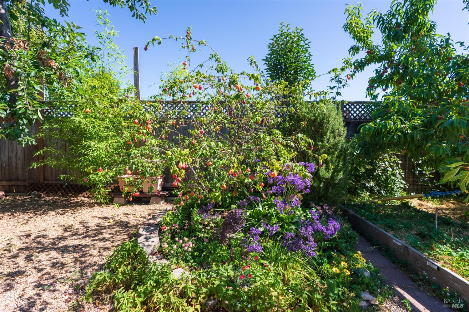 1563 Shay Drive Santa Rosa CA 95401
