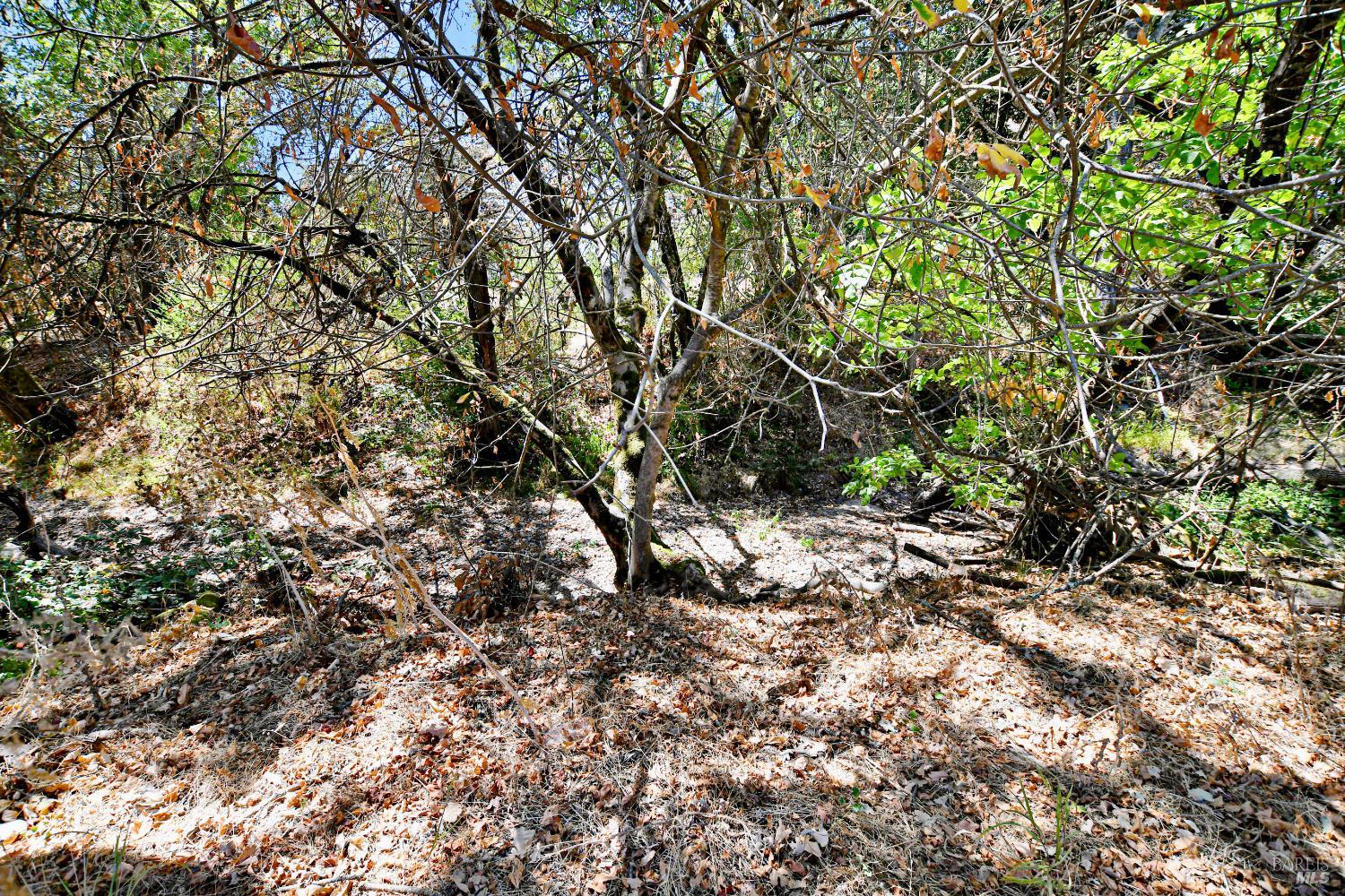 21355 Hyde Road Sonoma CA 95476