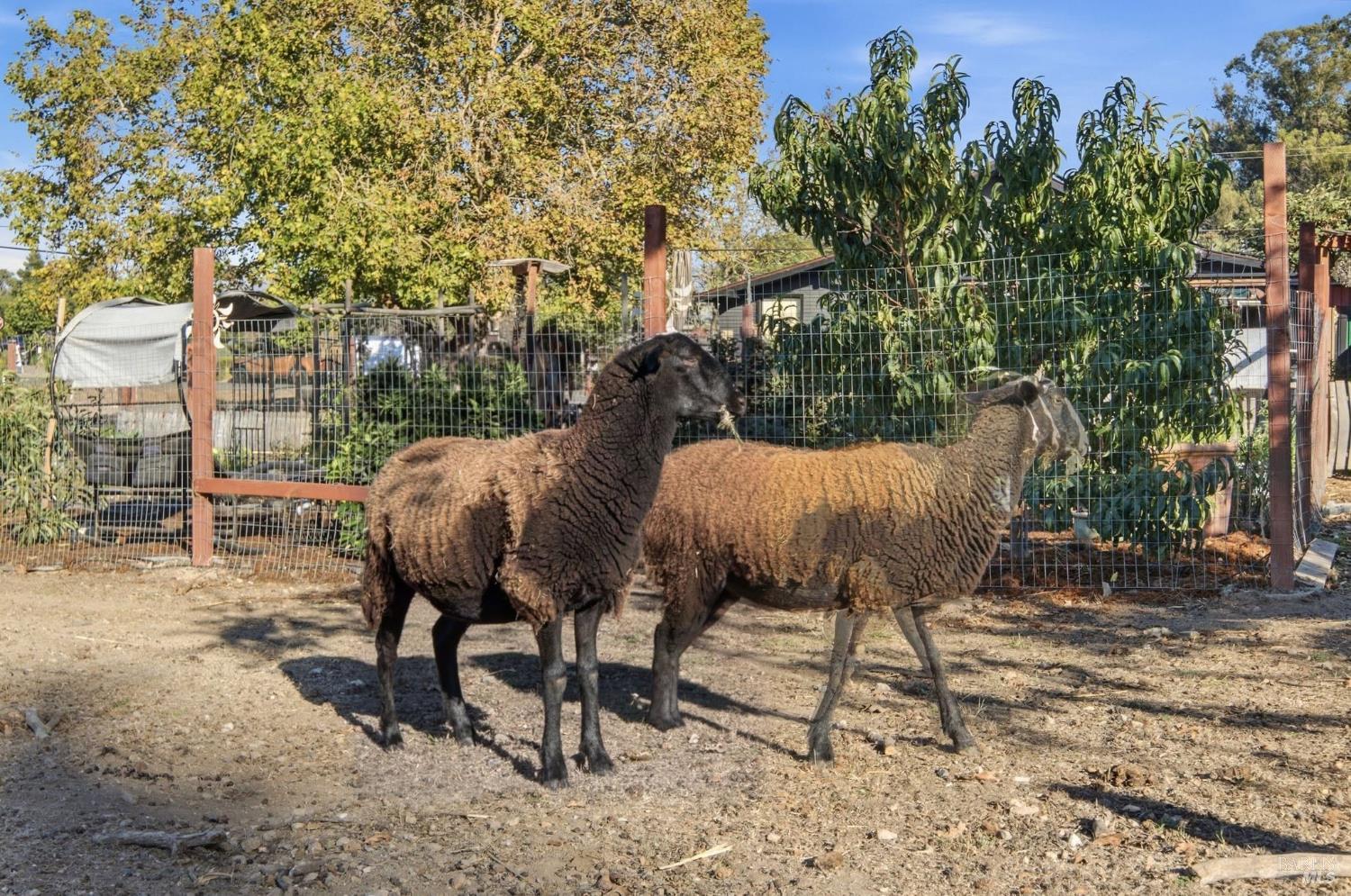 7878 Gravenstein Highway Cotati CA 94931