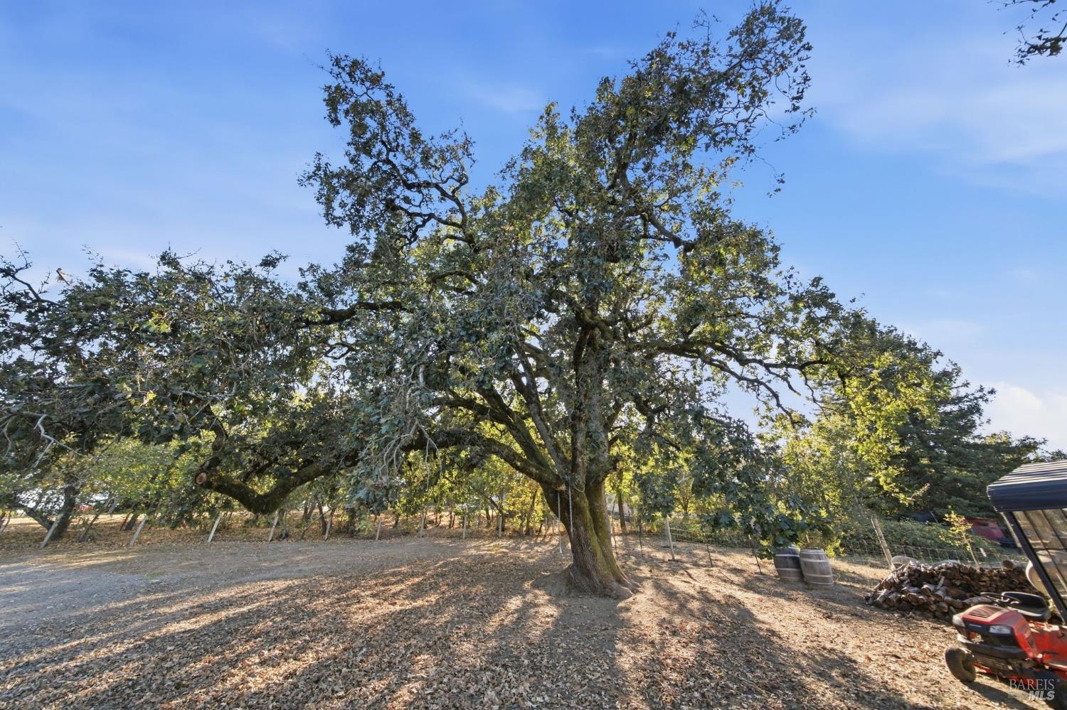 7878 Gravenstein Highway Cotati CA 94931