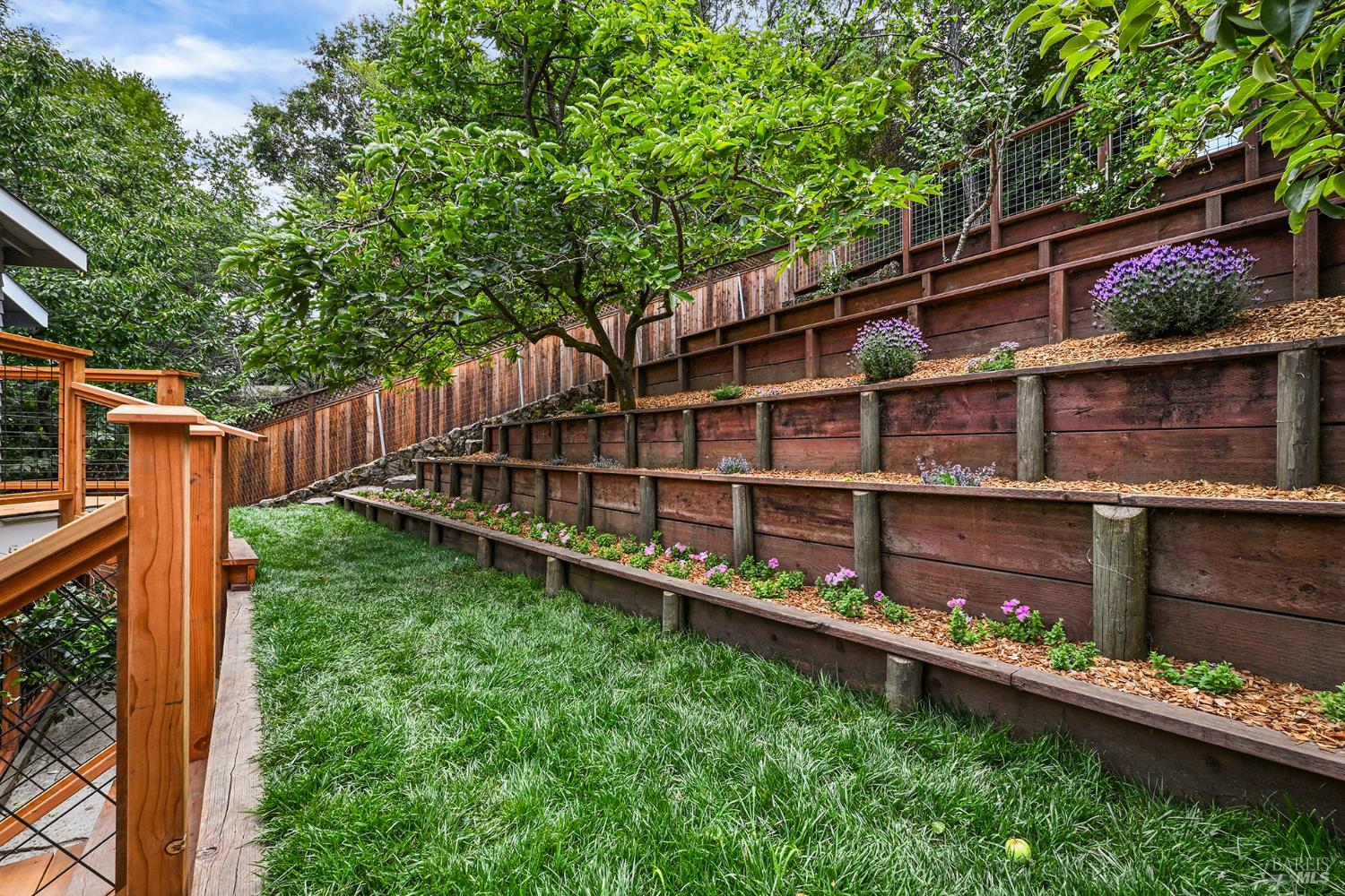 220 Laurel Avenue San Anselmo CA 94960