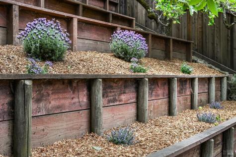 220 Laurel Avenue San Anselmo CA 94960