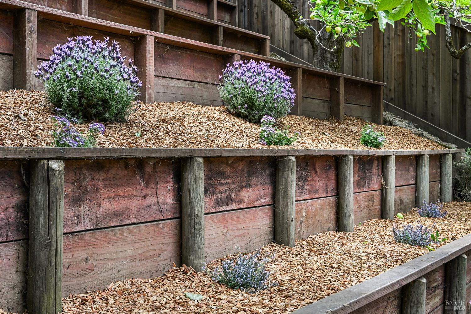 220 Laurel Avenue San Anselmo CA 94960