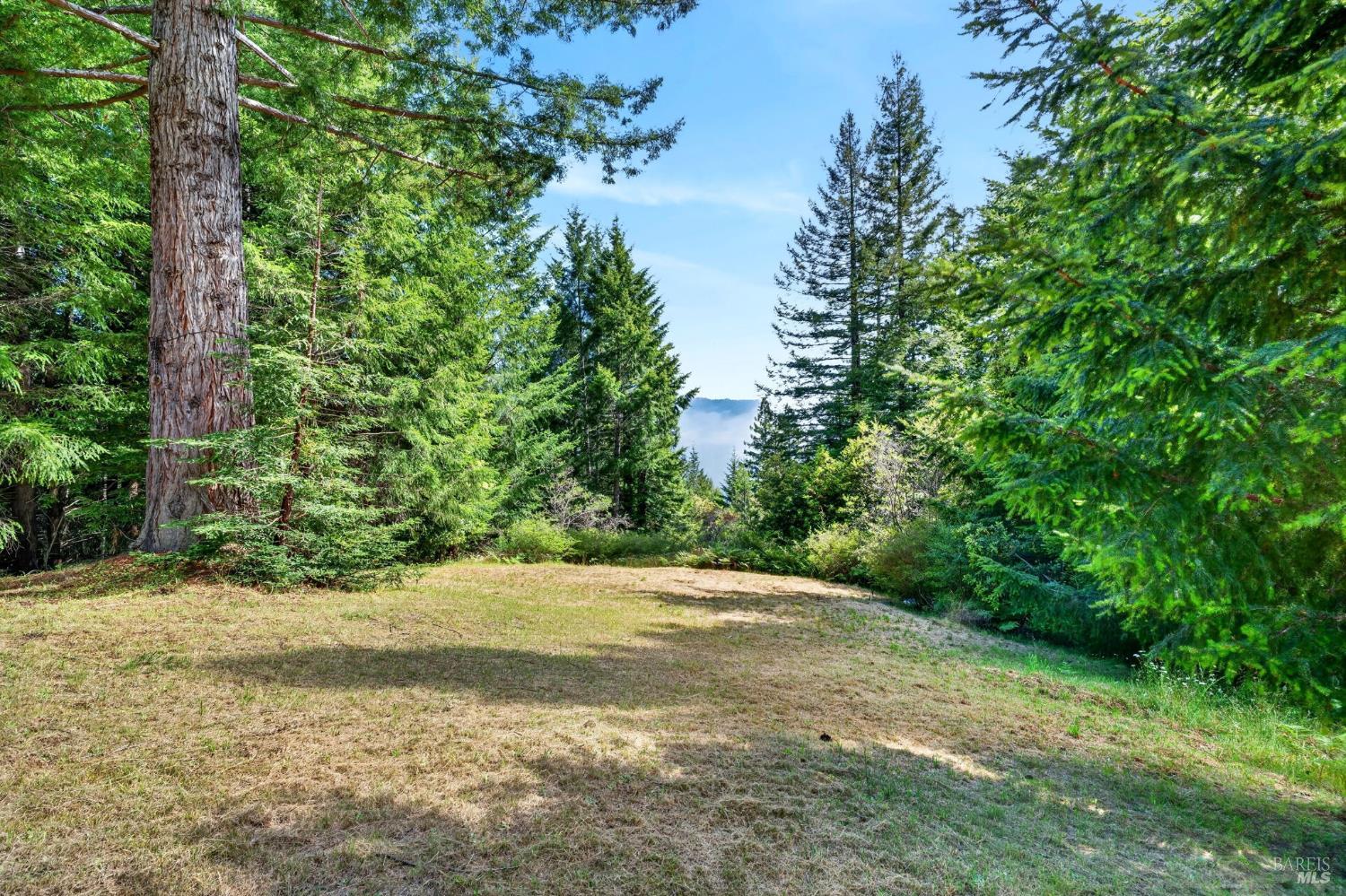 30901 Philo Greenwood Road Elk CA 95432