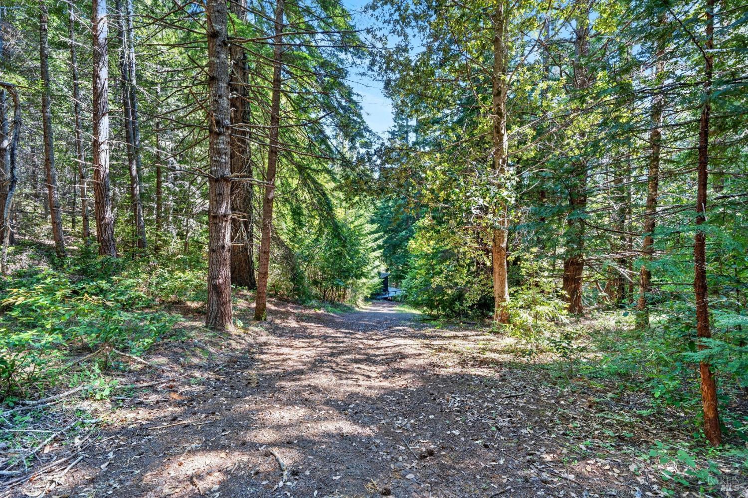 30901 Philo Greenwood Road Elk CA 95432
