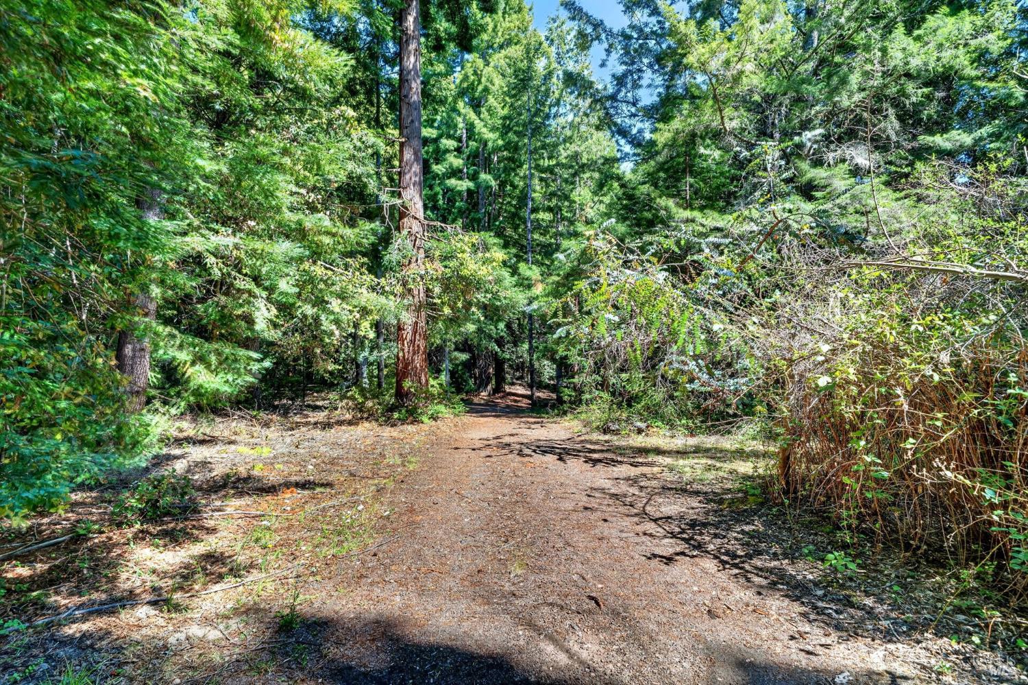 30901 Philo Greenwood Road Elk CA 95432