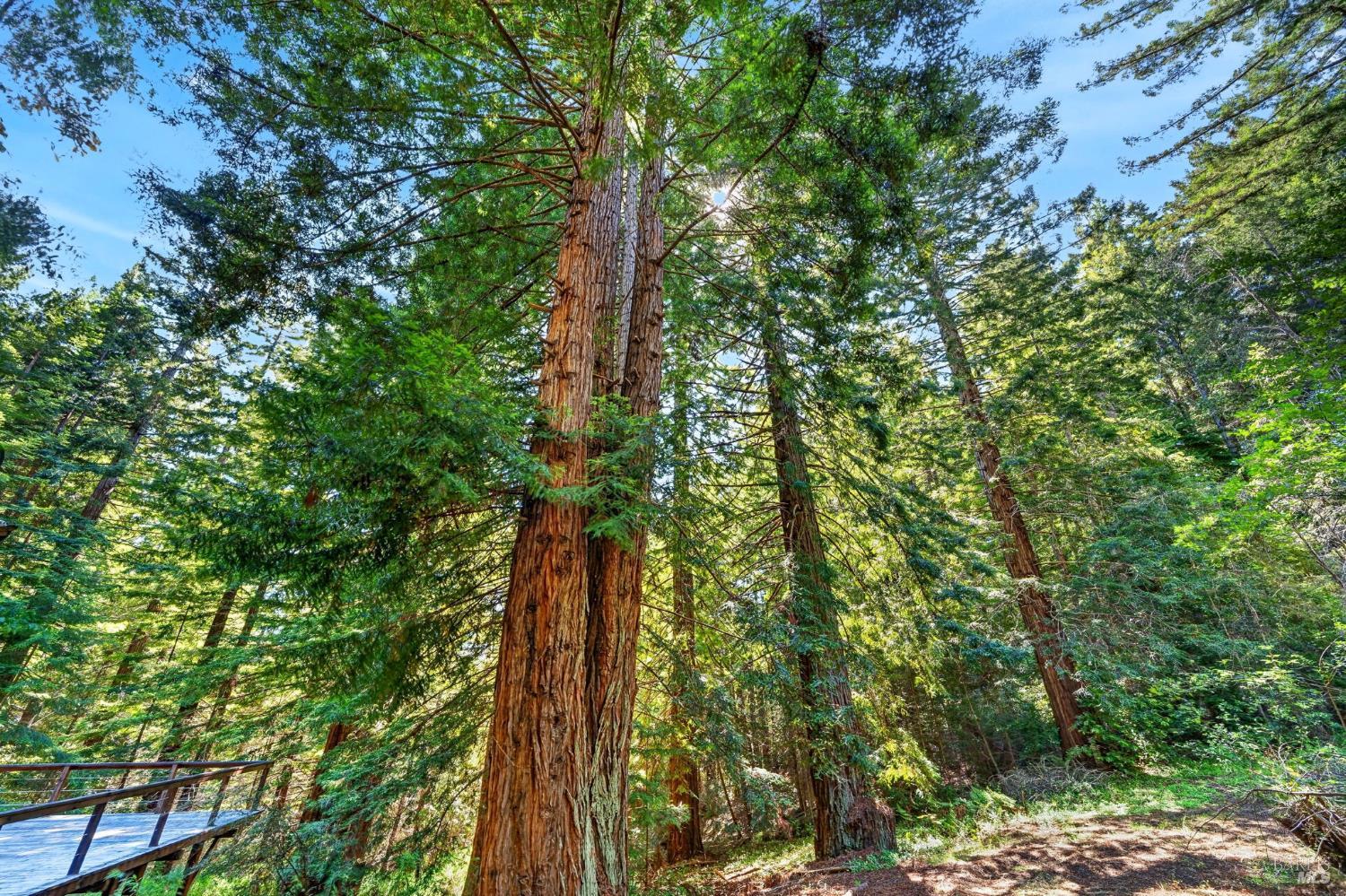 30901 Philo Greenwood Road Elk CA 95432