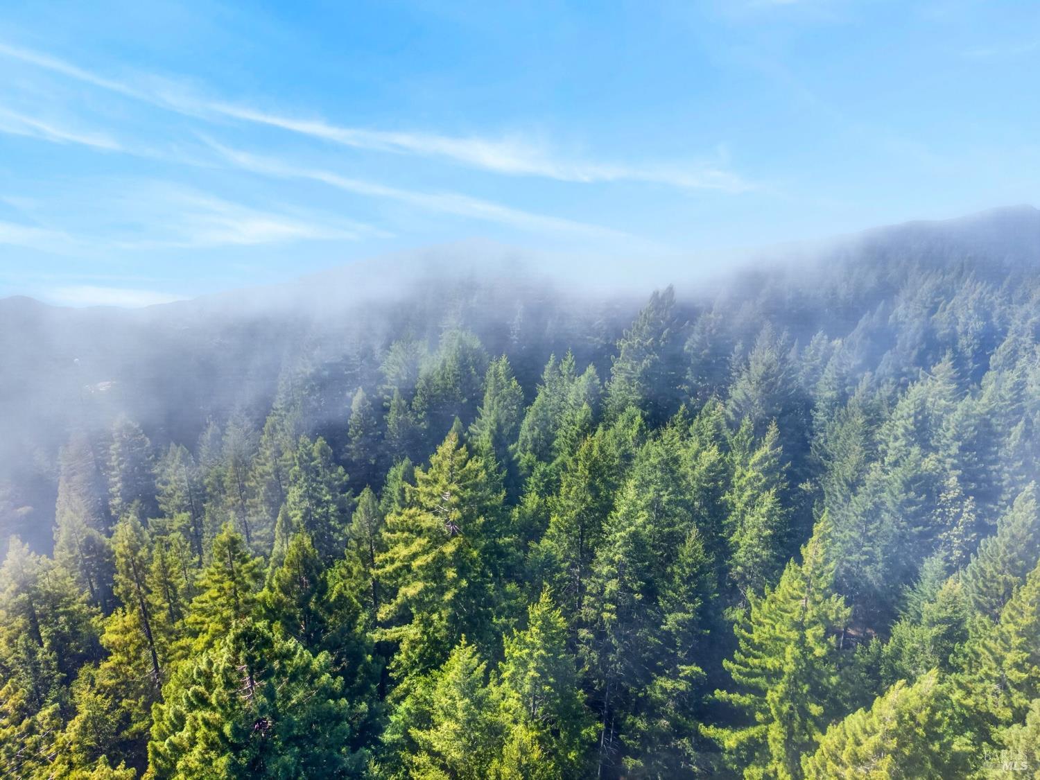 30901 Philo Greenwood Road Elk CA 95432