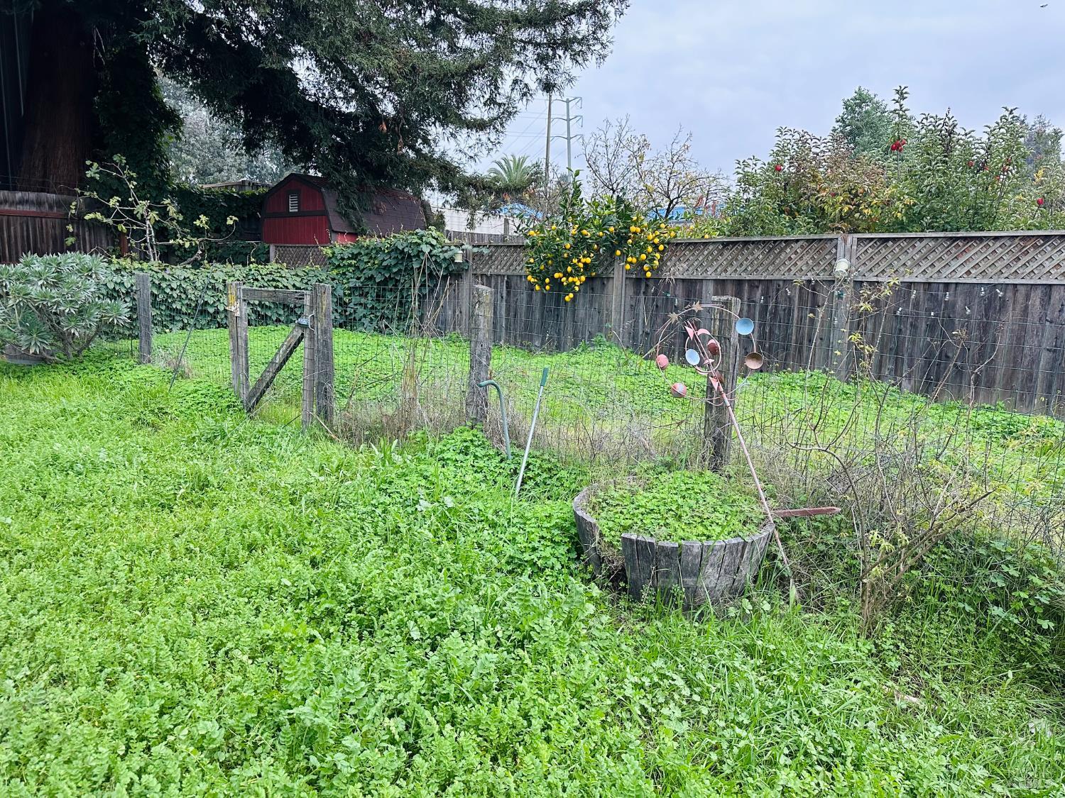 108 Pierson Street Santa Rosa CA 95401