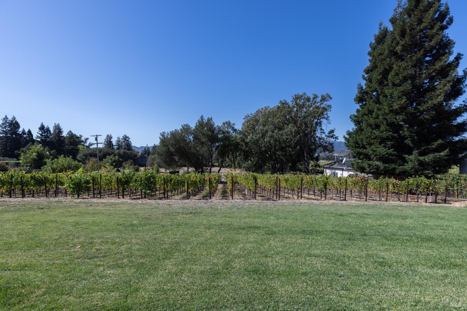 7031 Silverado Trail Napa CA 94558