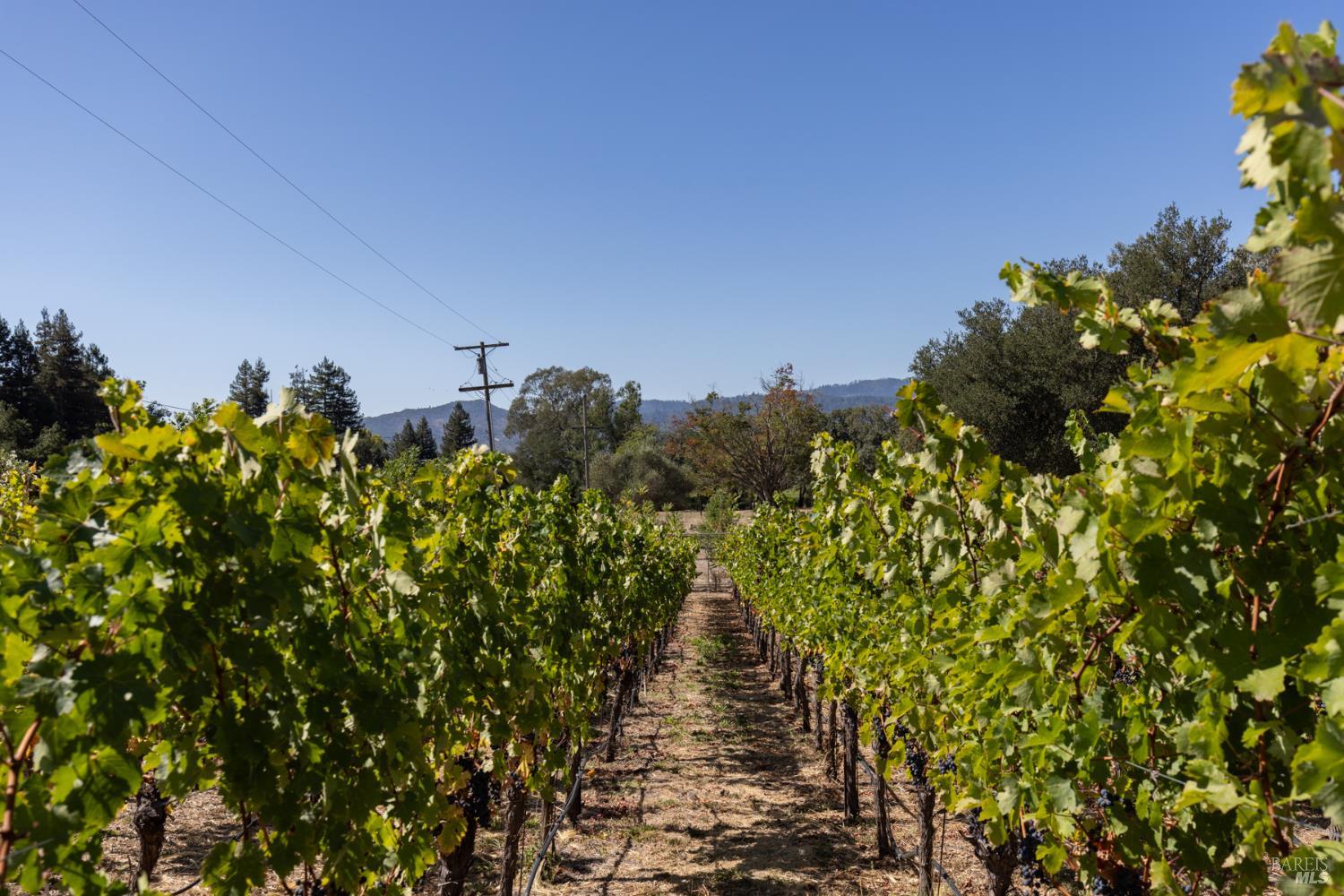 7031 Silverado Trail Napa CA 94558